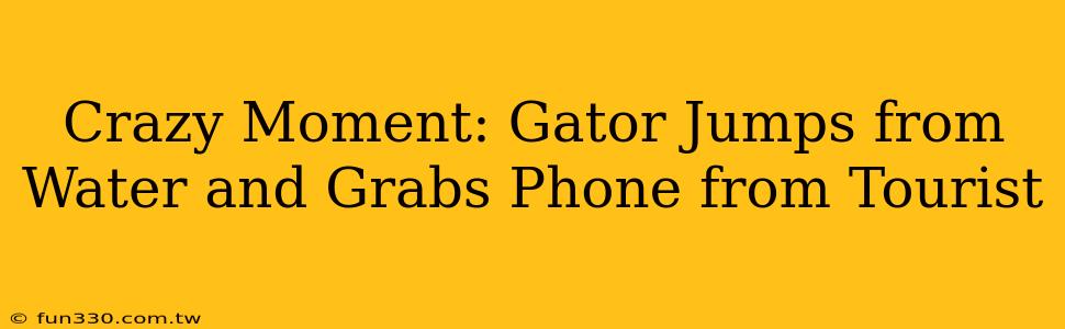 Crazy Moment: Gator Jumps from Water and Grabs Phone from Tourist