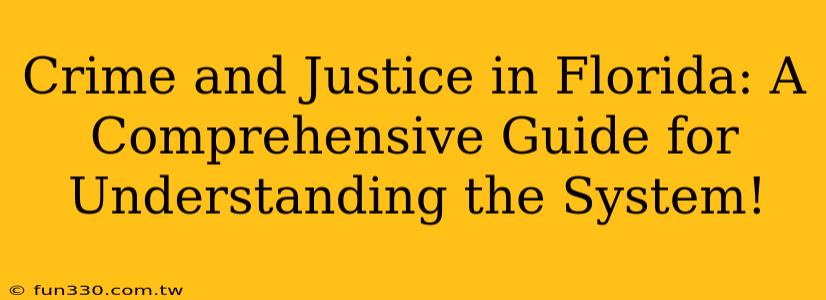 Crime and Justice in Florida: A Comprehensive Guide for Understanding the System!