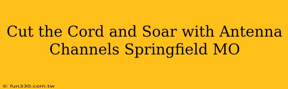 Cut the Cord and Soar with Antenna Channels Springfield MO