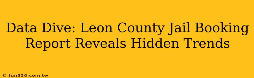 Data Dive: Leon County Jail Booking Report Reveals Hidden Trends