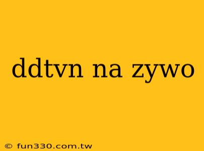 ddtvn na zywo