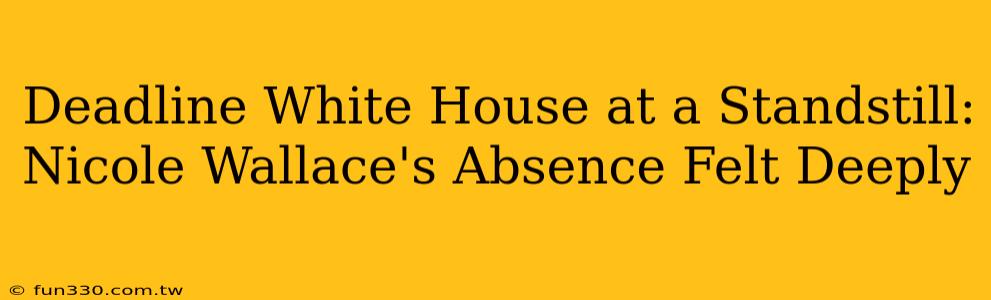 Deadline White House at a Standstill: Nicole Wallace's Absence Felt Deeply