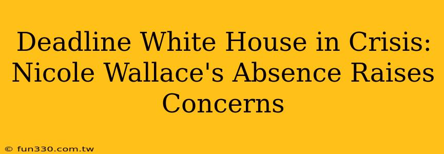 Deadline White House in Crisis: Nicole Wallace's Absence Raises Concerns