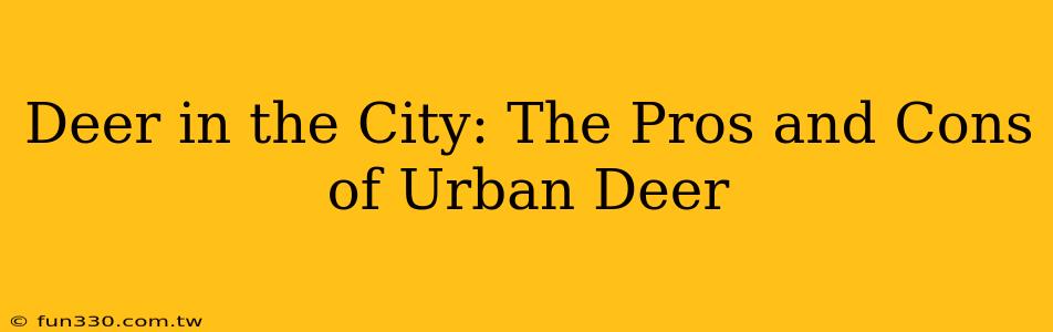 Deer in the City: The Pros and Cons of Urban Deer