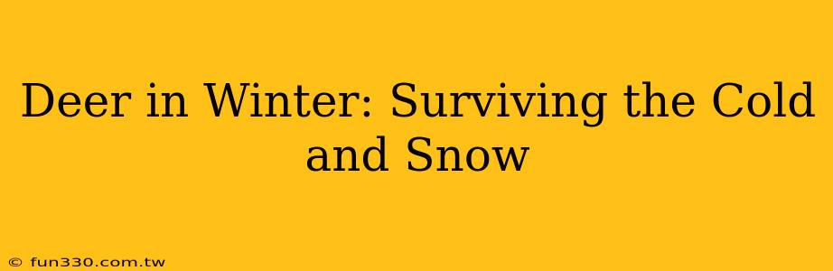 Deer in Winter: Surviving the Cold and Snow