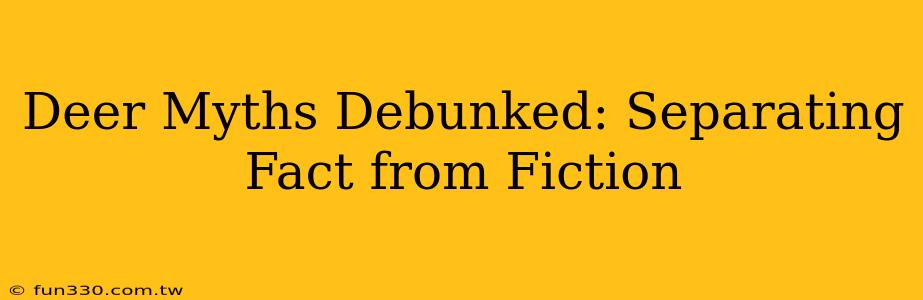 Deer Myths Debunked: Separating Fact from Fiction