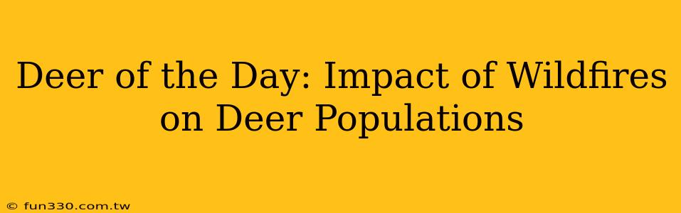 Deer of the Day: Impact of Wildfires on Deer Populations