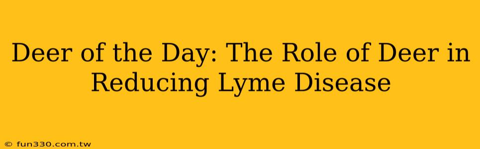 Deer of the Day: The Role of Deer in Reducing Lyme Disease