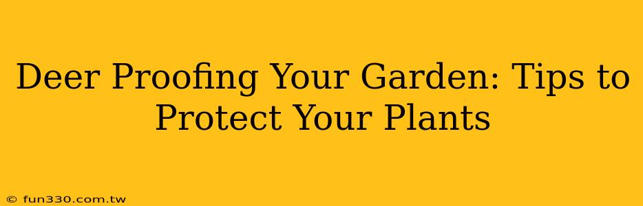 Deer Proofing Your Garden: Tips to Protect Your Plants