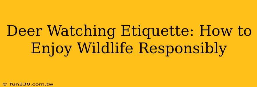 Deer Watching Etiquette: How to Enjoy Wildlife Responsibly