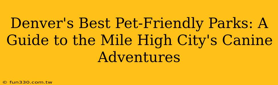 Denver's Best Pet-Friendly Parks: A Guide to the Mile High City's Canine Adventures