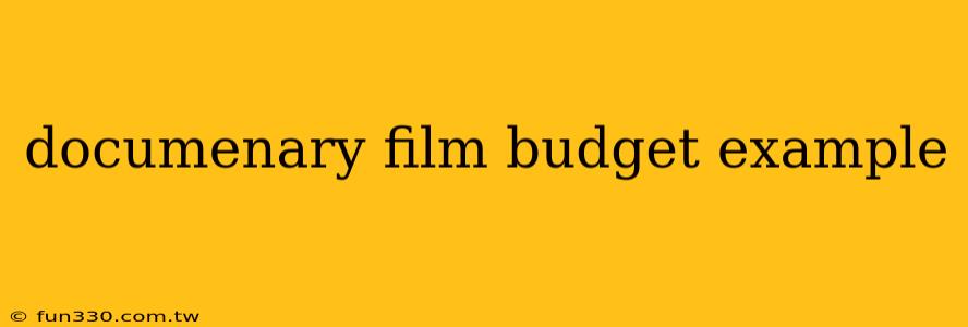 documenary film budget example