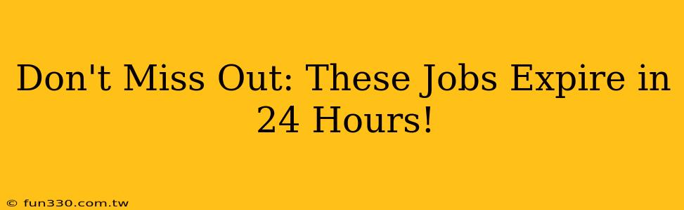 Don't Miss Out: These Jobs Expire in 24 Hours!