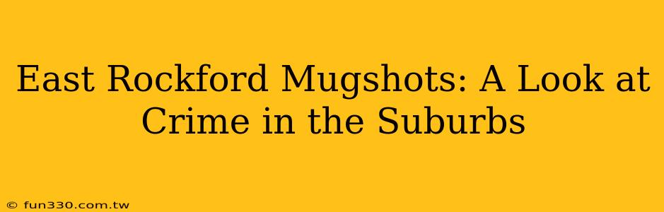 East Rockford Mugshots: A Look at Crime in the Suburbs