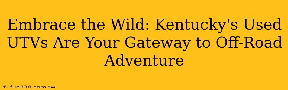 Embrace the Wild: Kentucky's Used UTVs Are Your Gateway to Off-Road Adventure