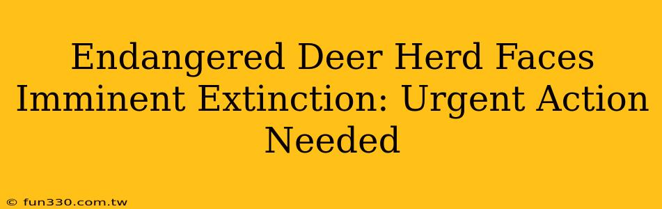 Endangered Deer Herd Faces Imminent Extinction: Urgent Action Needed