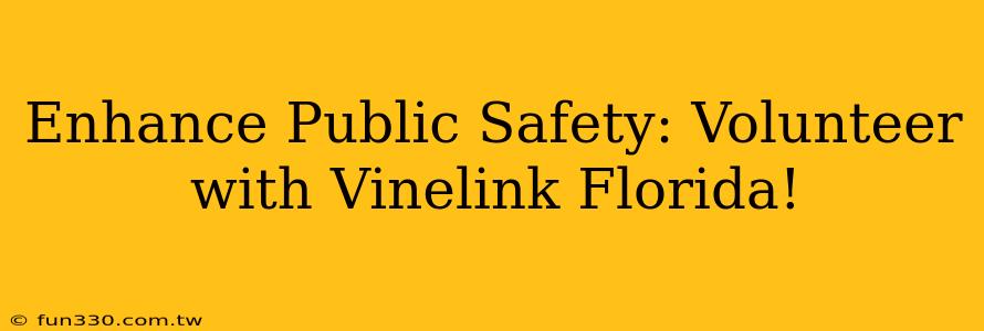 Enhance Public Safety: Volunteer with Vinelink Florida!