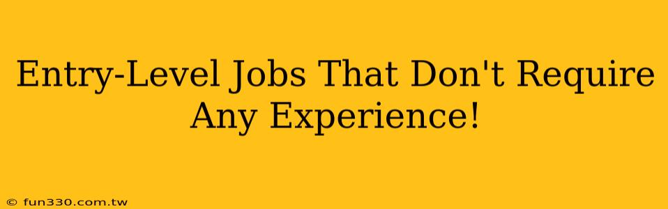 Entry-Level Jobs That Don't Require Any Experience!