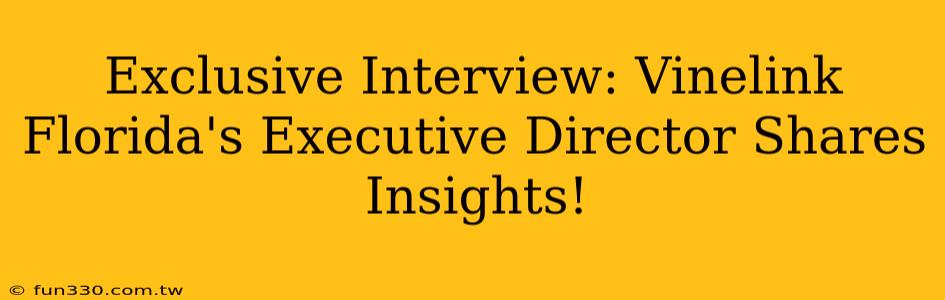 Exclusive Interview: Vinelink Florida's Executive Director Shares Insights!