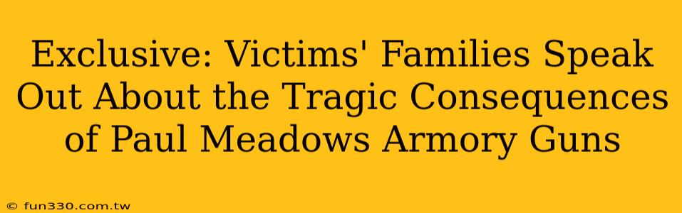 Exclusive: Victims' Families Speak Out About the Tragic Consequences of Paul Meadows Armory Guns