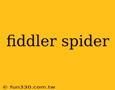 fiddler spider