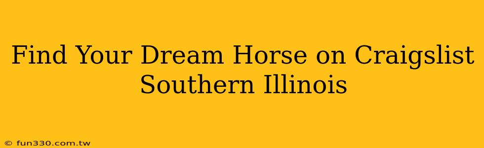 Find Your Dream Horse on Craigslist Southern Illinois