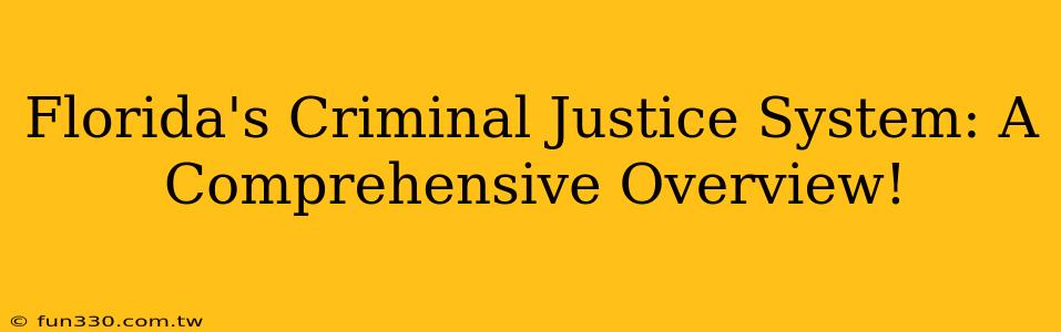 Florida's Criminal Justice System: A Comprehensive Overview!