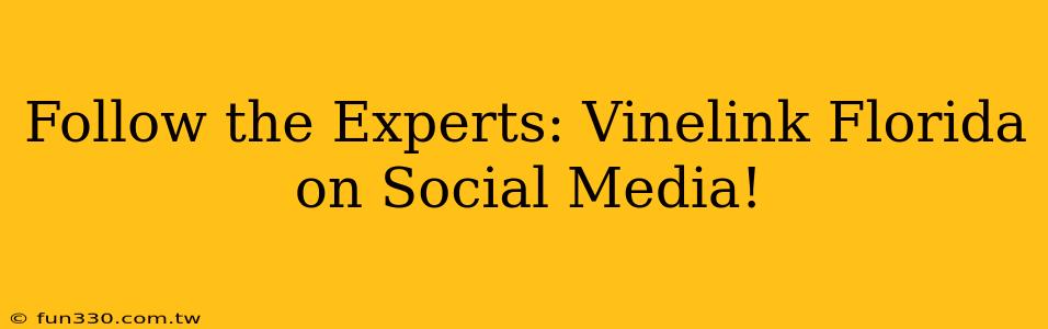 Follow the Experts: Vinelink Florida on Social Media!