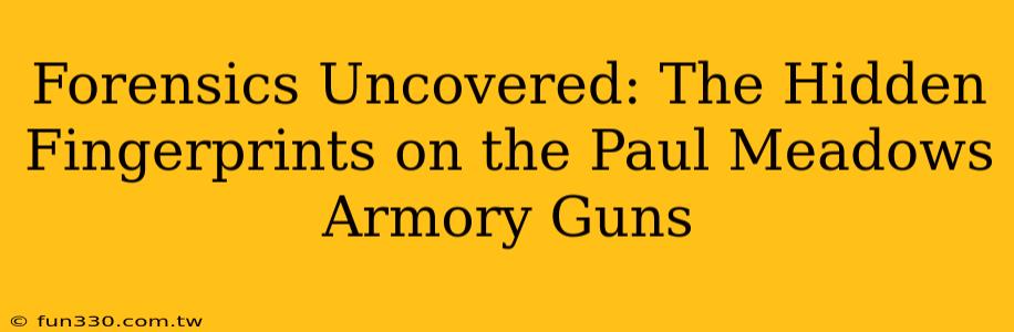 Forensics Uncovered: The Hidden Fingerprints on the Paul Meadows Armory Guns