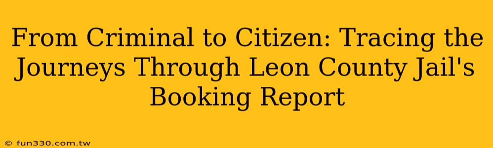 From Criminal to Citizen: Tracing the Journeys Through Leon County Jail's Booking Report