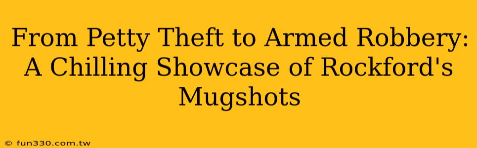 From Petty Theft to Armed Robbery: A Chilling Showcase of Rockford's Mugshots