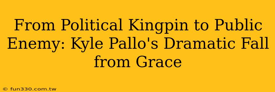 From Political Kingpin to Public Enemy: Kyle Pallo's Dramatic Fall from Grace