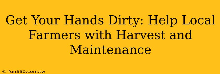 Get Your Hands Dirty: Help Local Farmers with Harvest and Maintenance