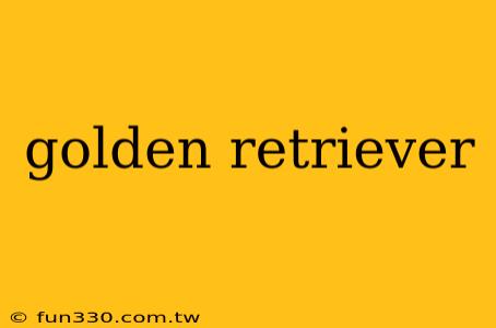 golden retriever