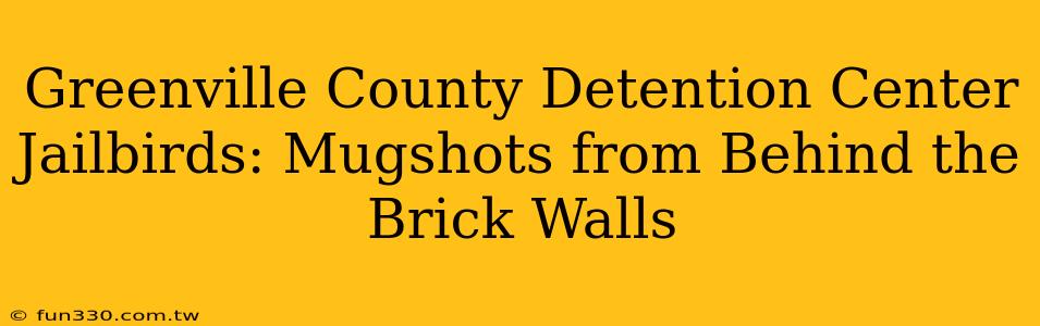 Greenville County Detention Center Jailbirds: Mugshots from Behind the Brick Walls