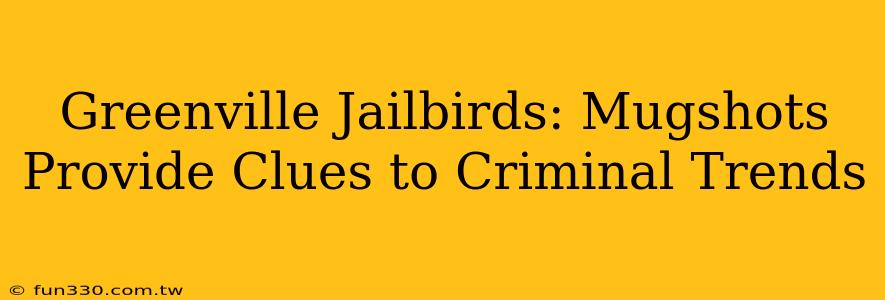 Greenville Jailbirds: Mugshots Provide Clues to Criminal Trends