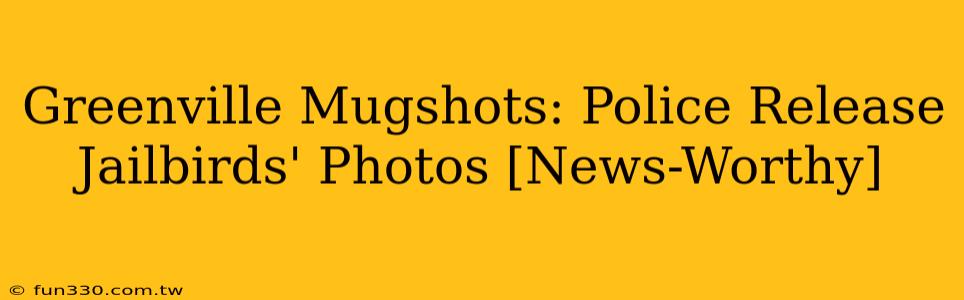 Greenville Mugshots: Police Release Jailbirds' Photos [News-Worthy]