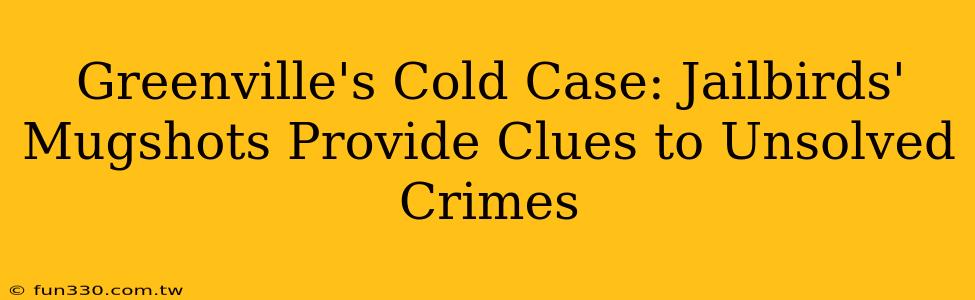 Greenville's Cold Case: Jailbirds' Mugshots Provide Clues to Unsolved Crimes