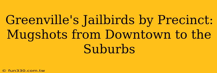 Greenville's Jailbirds by Precinct: Mugshots from Downtown to the Suburbs