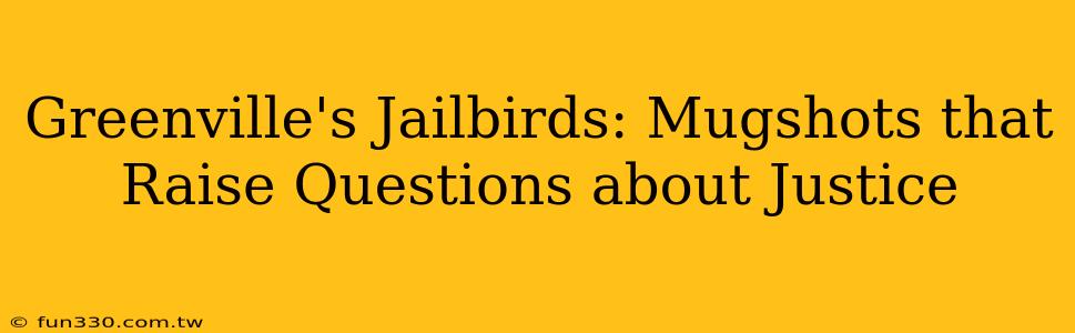 Greenville's Jailbirds: Mugshots that Raise Questions about Justice