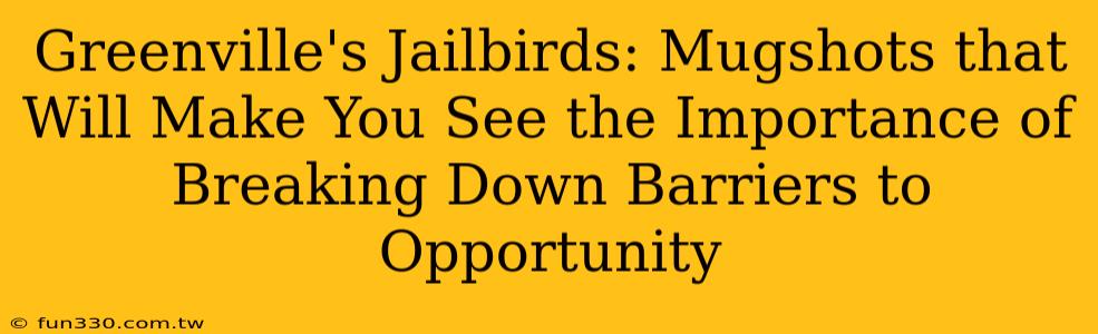 Greenville's Jailbirds: Mugshots that Will Make You See the Importance of Breaking Down Barriers to Opportunity