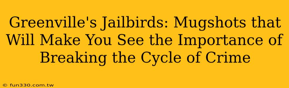 Greenville's Jailbirds: Mugshots that Will Make You See the Importance of Breaking the Cycle of Crime