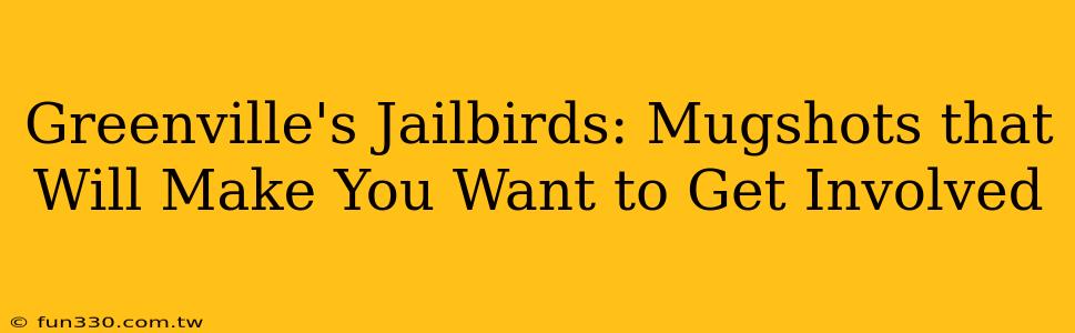 Greenville's Jailbirds: Mugshots that Will Make You Want to Get Involved