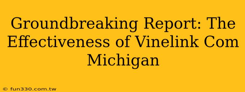 Groundbreaking Report: The Effectiveness of Vinelink Com Michigan