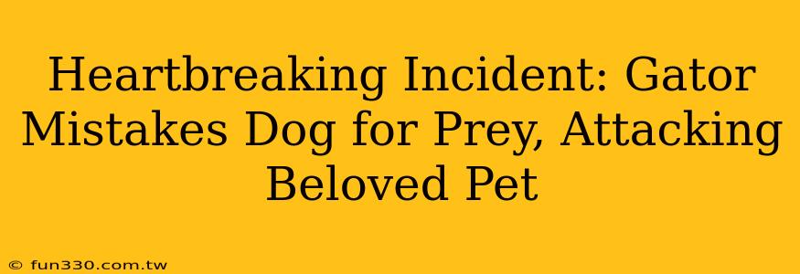 Heartbreaking Incident: Gator Mistakes Dog for Prey, Attacking Beloved Pet