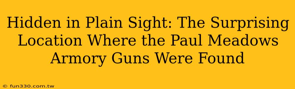 Hidden in Plain Sight: The Surprising Location Where the Paul Meadows Armory Guns Were Found