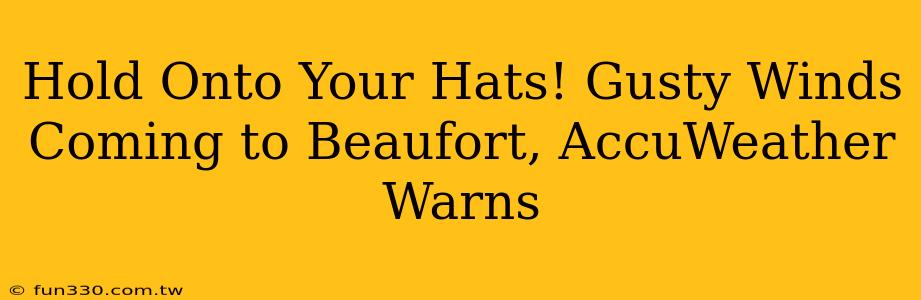 Hold Onto Your Hats! Gusty Winds Coming to Beaufort, AccuWeather Warns