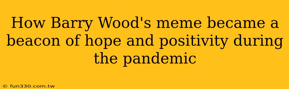 How Barry Wood's meme became a beacon of hope and positivity during the pandemic