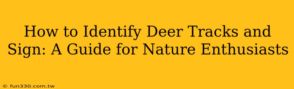 How to Identify Deer Tracks and Sign: A Guide for Nature Enthusiasts