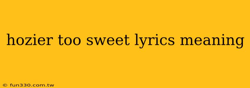 hozier too sweet lyrics meaning